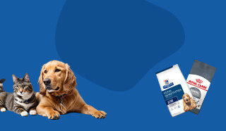 Mobile Slider Banner
