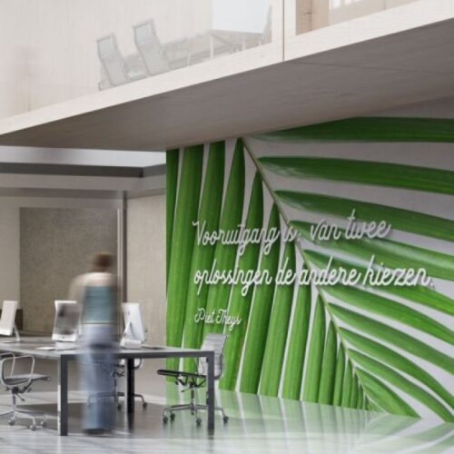 SanoTex - Afbeelding 2