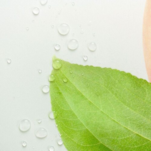 ProPES Outdoor - Afbeelding 2