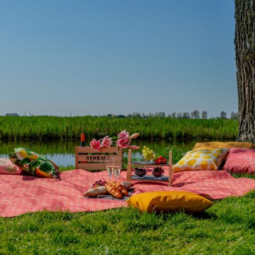 Picknickkleed - Afbeelding 4