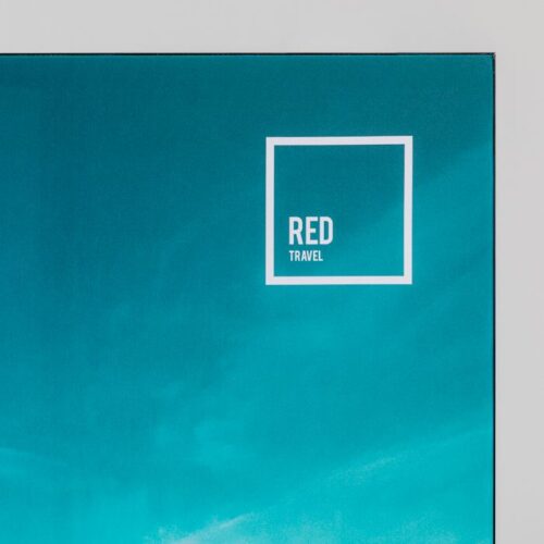 Blackback - Afbeelding 4