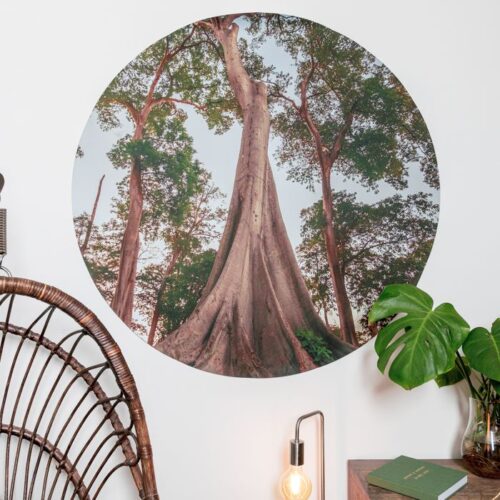 Behangcirkel - Afbeelding 2