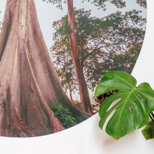 Behangcirkel - Afbeelding 3