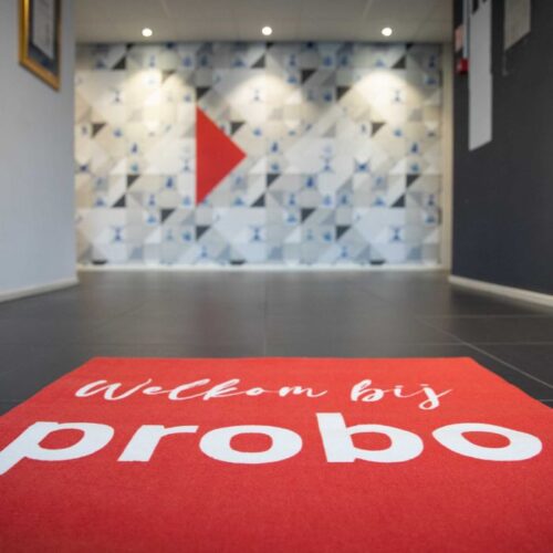 Schoonloopmat - Afbeelding 4