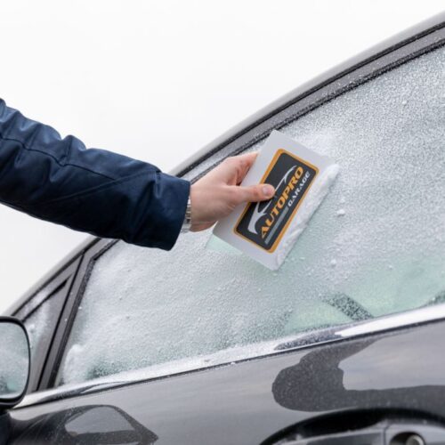 IJskrabber - Afbeelding 4