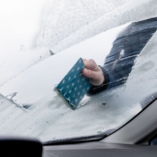 IJskrabber - Afbeelding 2