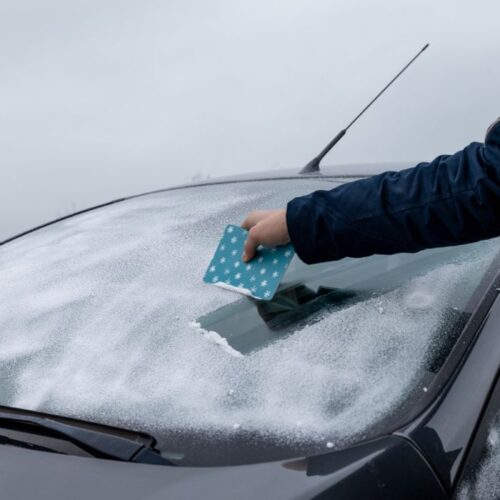 IJskrabber - Afbeelding 3