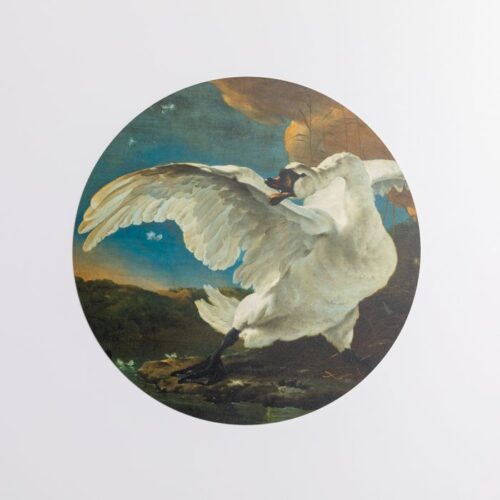 Muurcirkel - Afbeelding 7