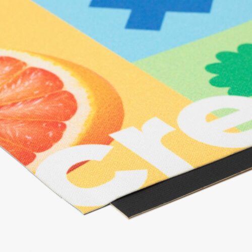 Blackback - Afbeelding 1