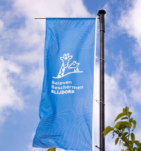 Flag CiCLO® - Afbeelding 3